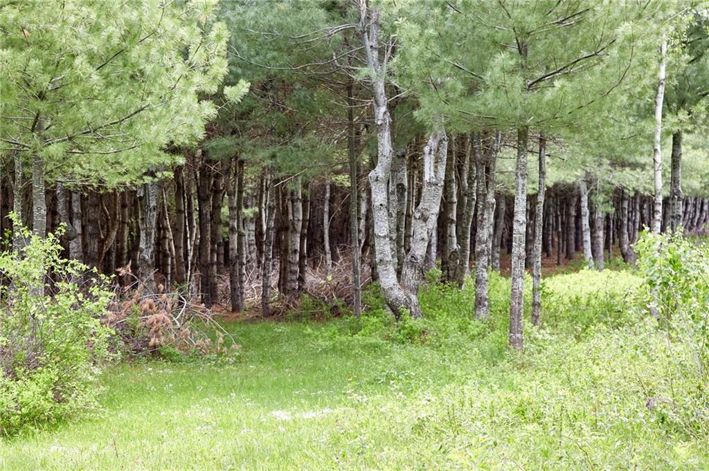0 Blinn Hill Road Dresden, ME 04342 - Photo 12 of 12 Discover all the possibilities and...