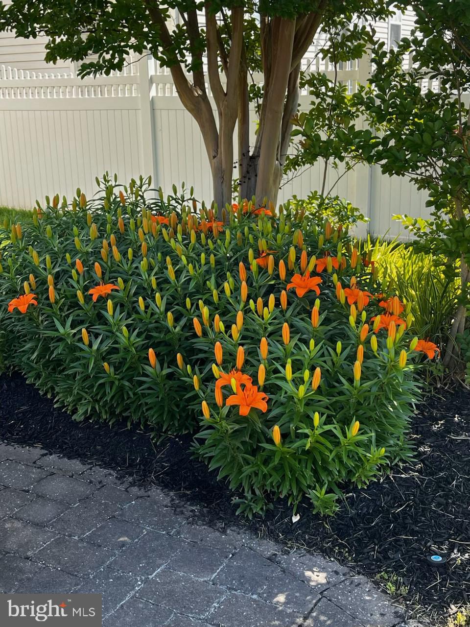 4 Midfield Street Sicklerville, NJ 08081 - Photo 38 of 40 a view of a garden