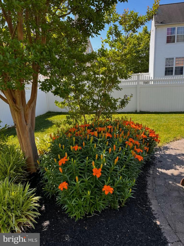 4 Midfield Street Sicklerville, NJ 08081 - Photo 39 of 40 a view of a garden with plants and large trees
