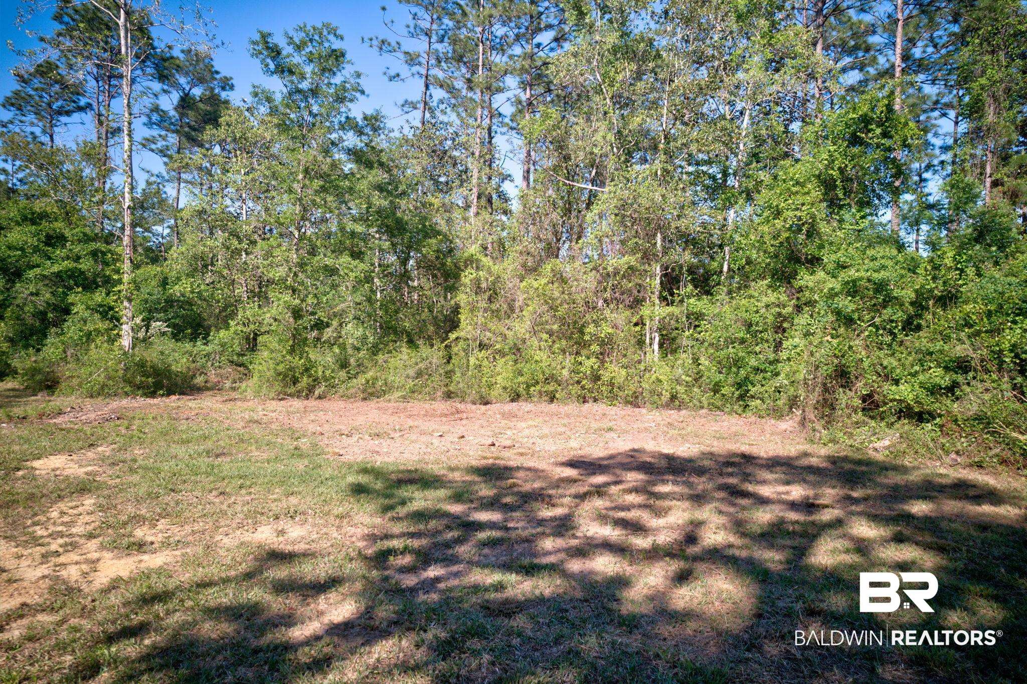 Fox Branch Drive Loxley, AL 36551 - Photo 15 of 15