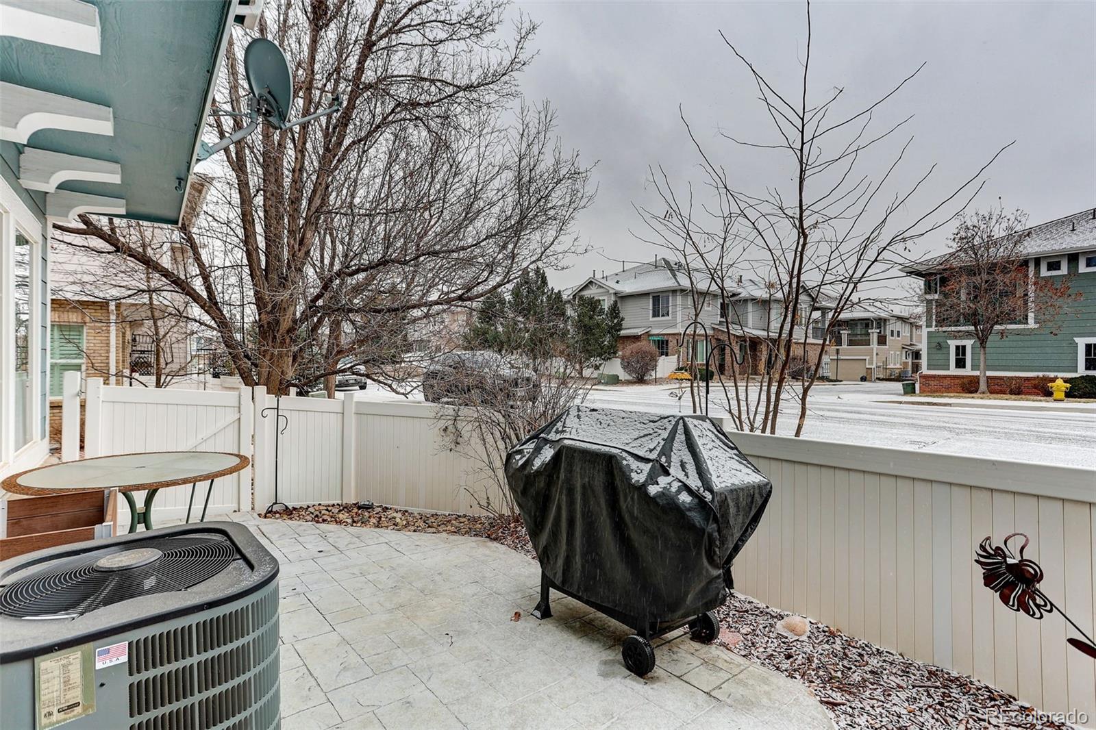 167 Whitehaven Circle Highlands Ranch, CO 80129 - Photo 20 of 34