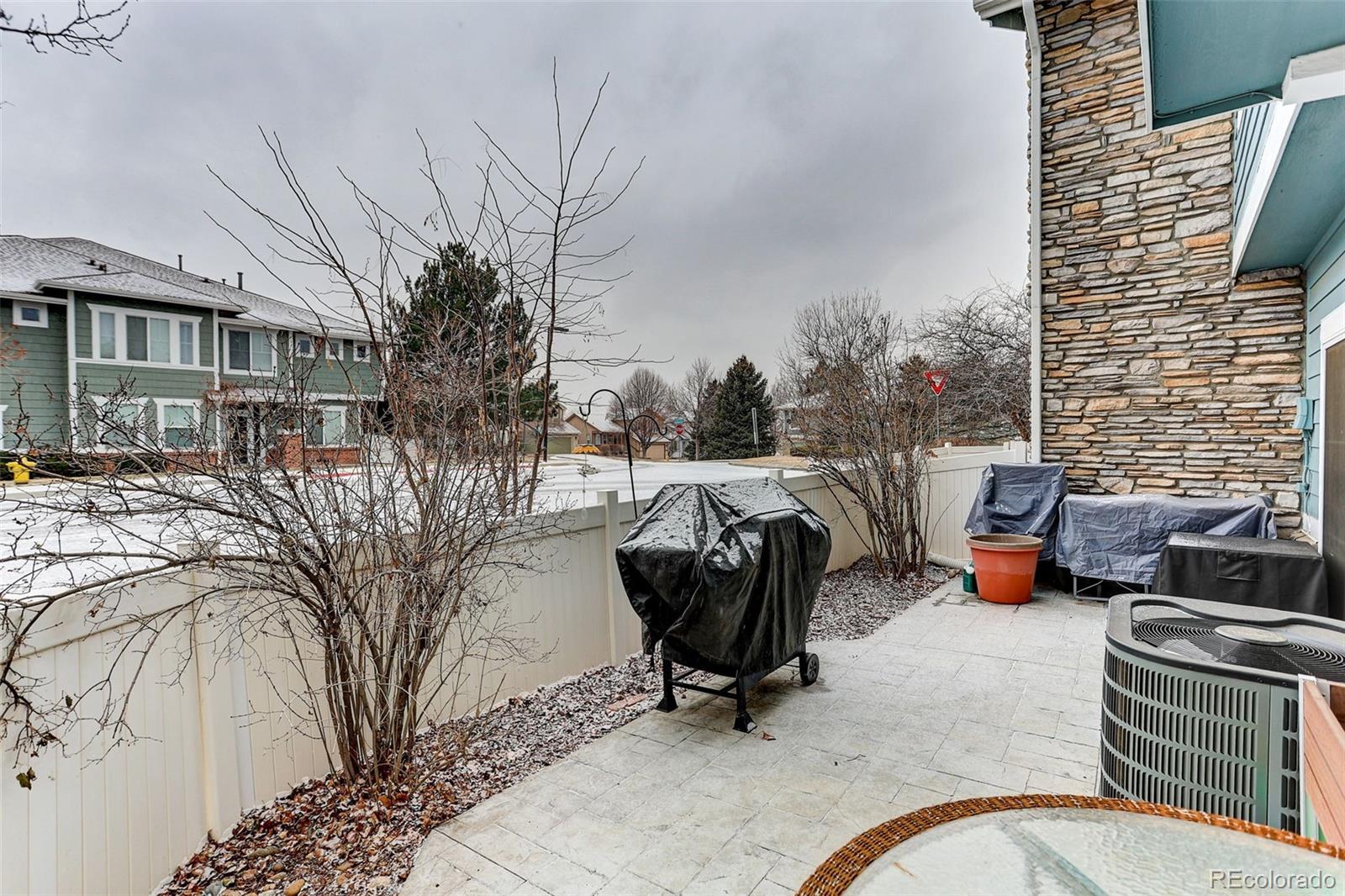 167 Whitehaven Circle Highlands Ranch, CO 80129 - Photo 21 of 34