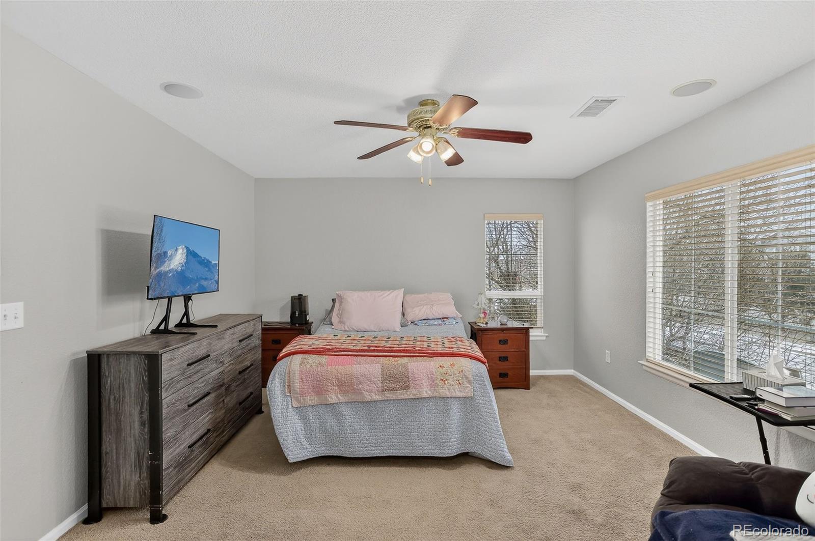 167 Whitehaven Circle Highlands Ranch, CO 80129 - Photo 26 of 34