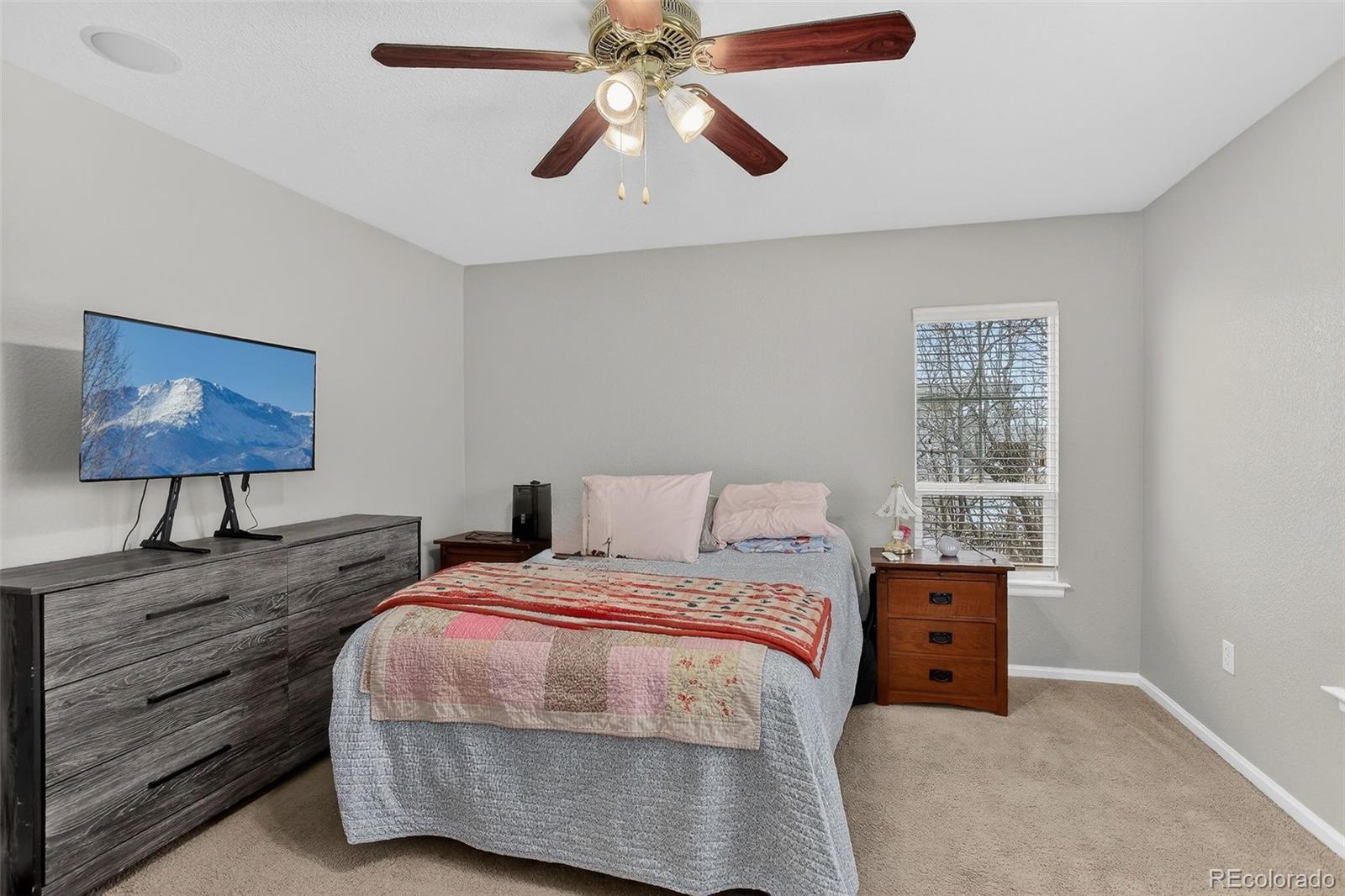 167 Whitehaven Circle Highlands Ranch, CO 80129 - Photo 27 of 34