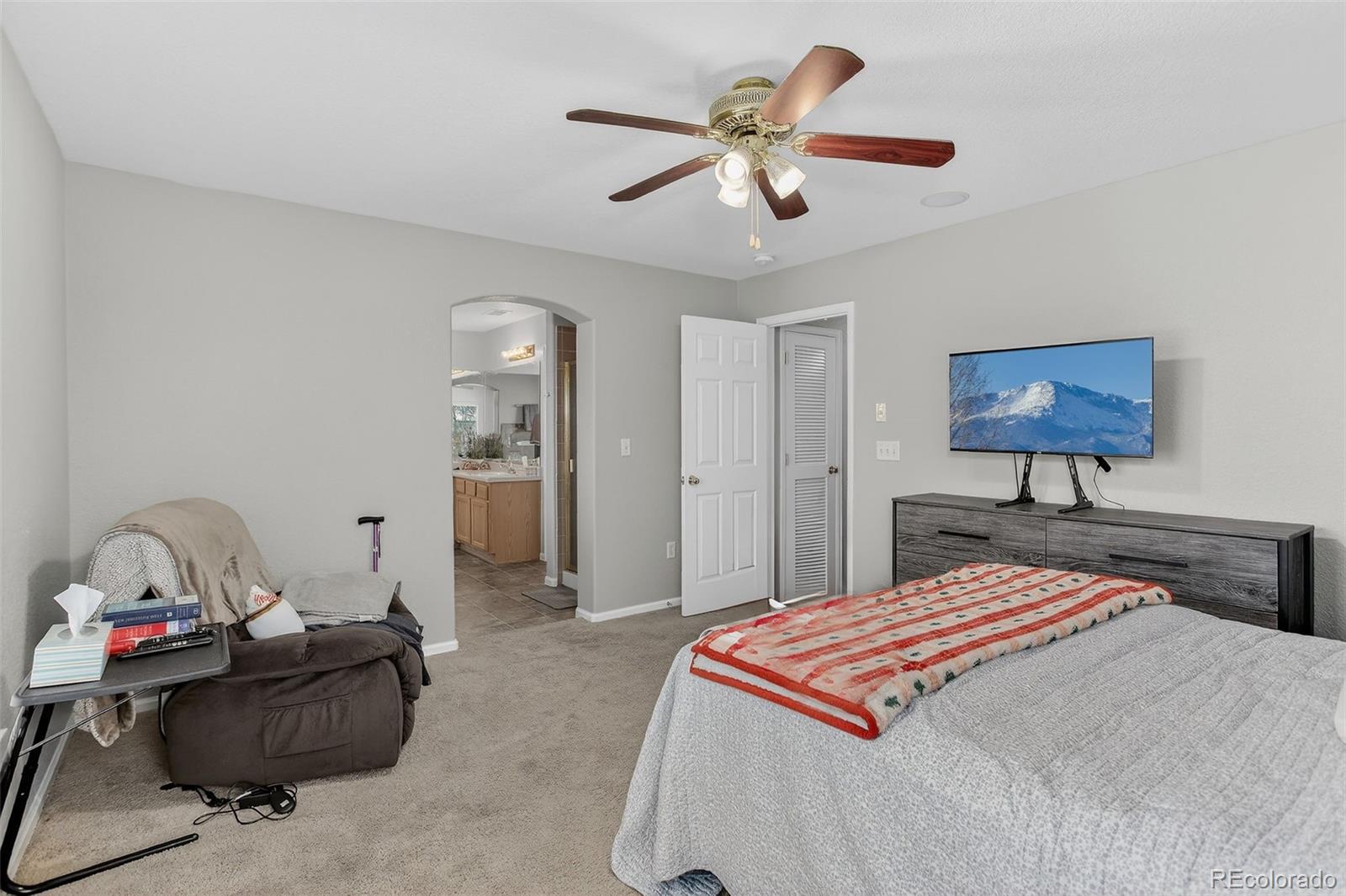 167 Whitehaven Circle Highlands Ranch, CO 80129 - Photo 28 of 34