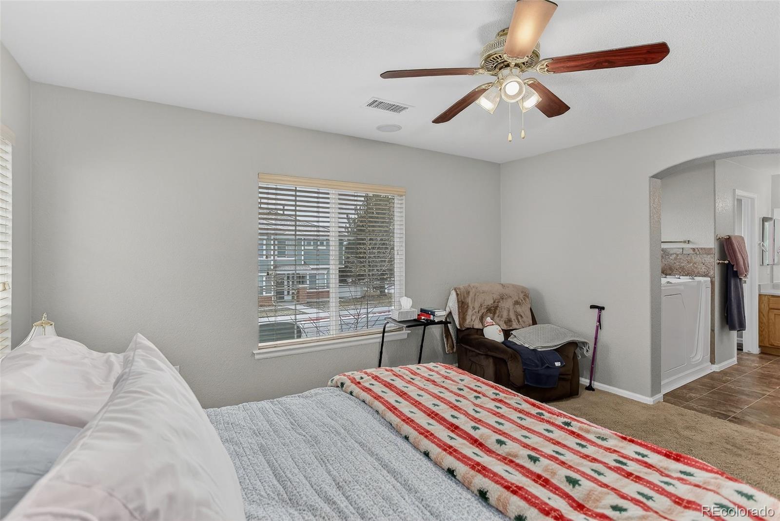 167 Whitehaven Circle Highlands Ranch, CO 80129 - Photo 29 of 34