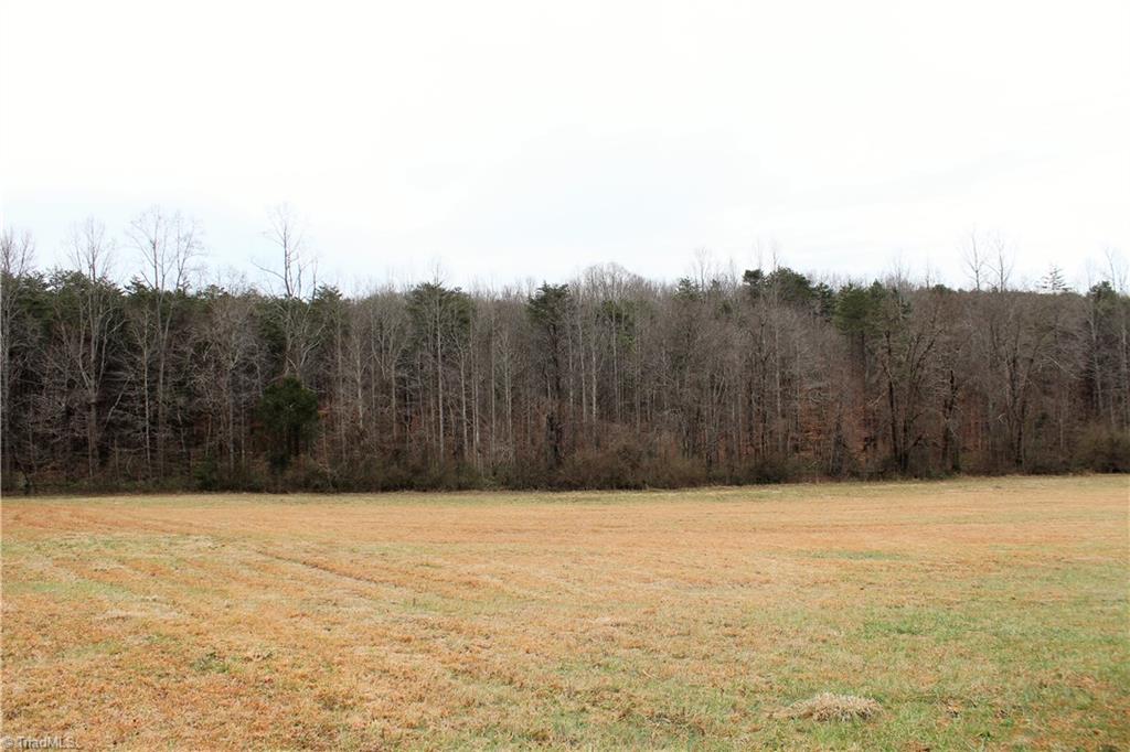 7890 Ridge Road Tobaccoville, NC 27050 - Photo 19 of 28 Gallery Image 19