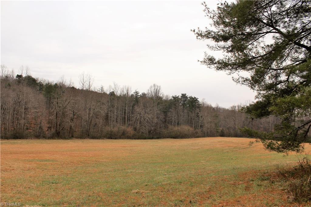 7890 Ridge Road Tobaccoville, NC 27050 - Photo 20 of 28 Gallery Image 20