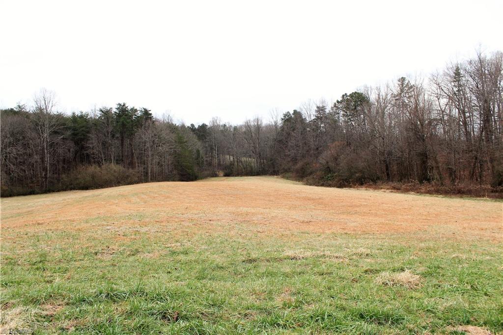 7890 Ridge Road Tobaccoville, NC 27050 - Photo 21 of 28 Gallery Image 21