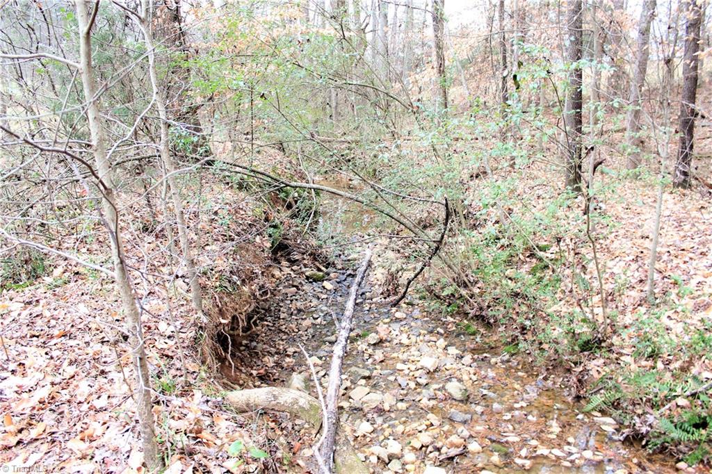 7890 Ridge Road Tobaccoville, NC 27050 - Photo 26 of 28 Gallery Image 26