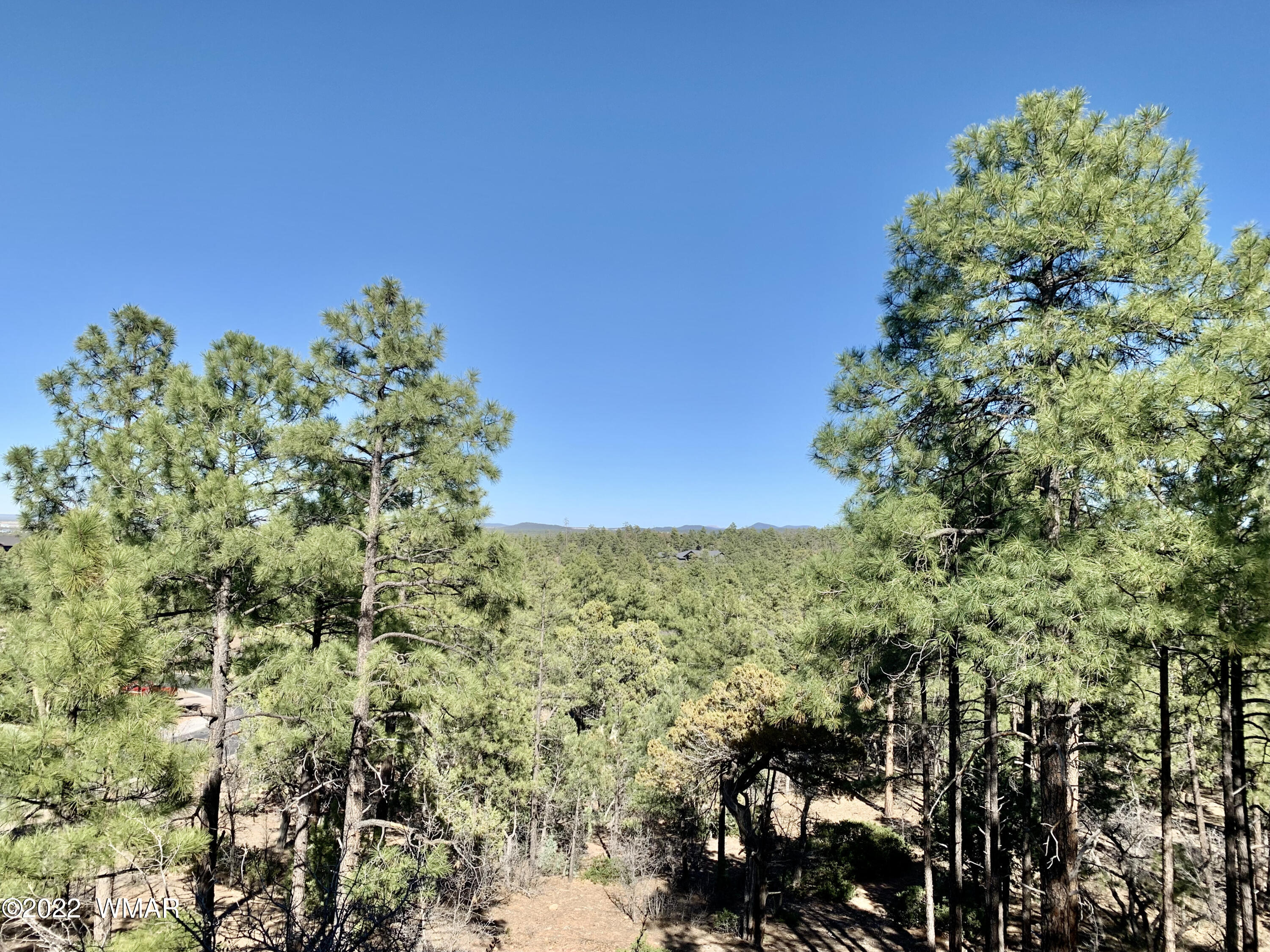 2100 South Snowy Ridge Loop Show Low, AZ 85901 - Photo 16 of 21