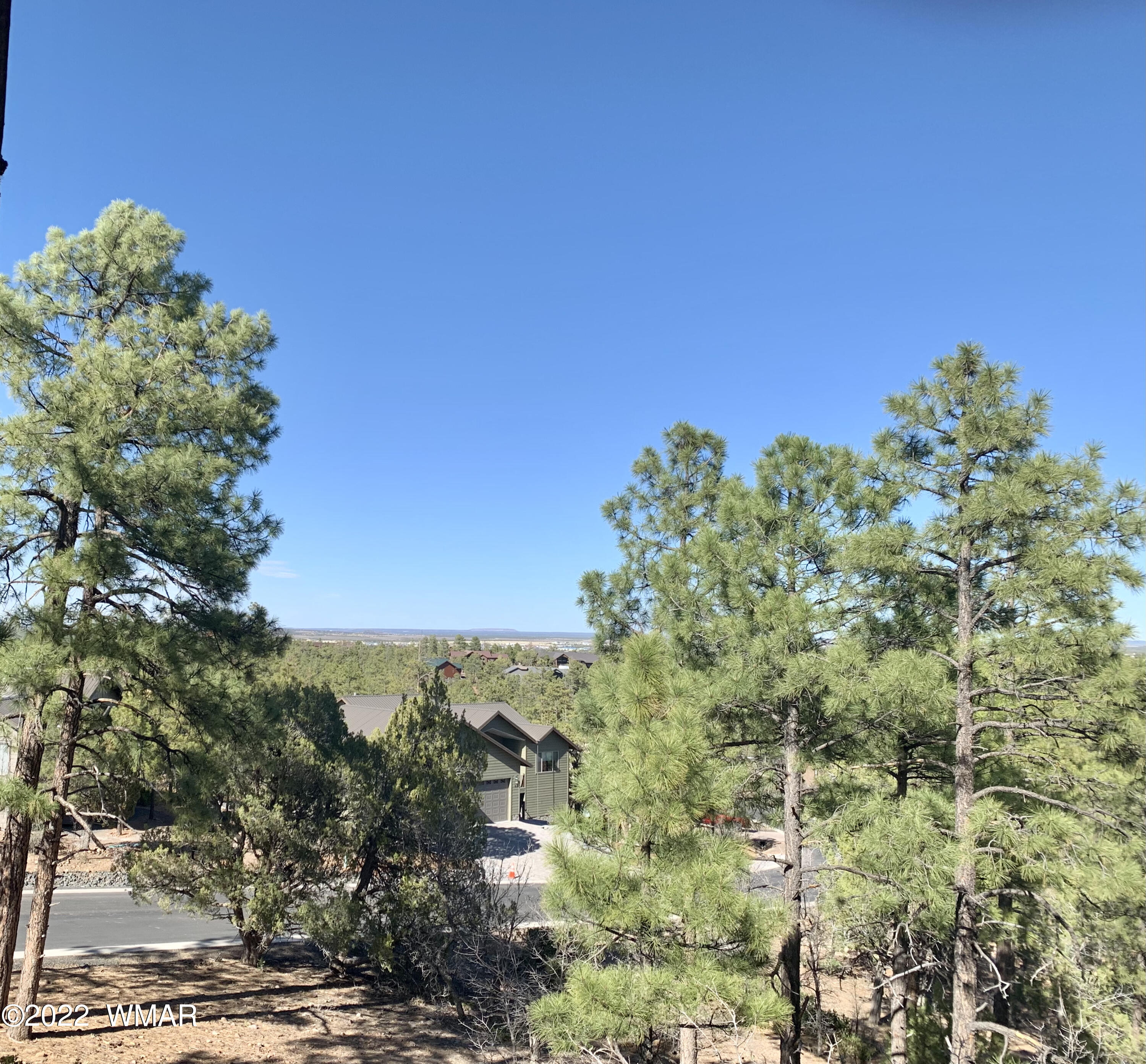 2100 South Snowy Ridge Loop Show Low, AZ 85901 - Photo 17 of 21