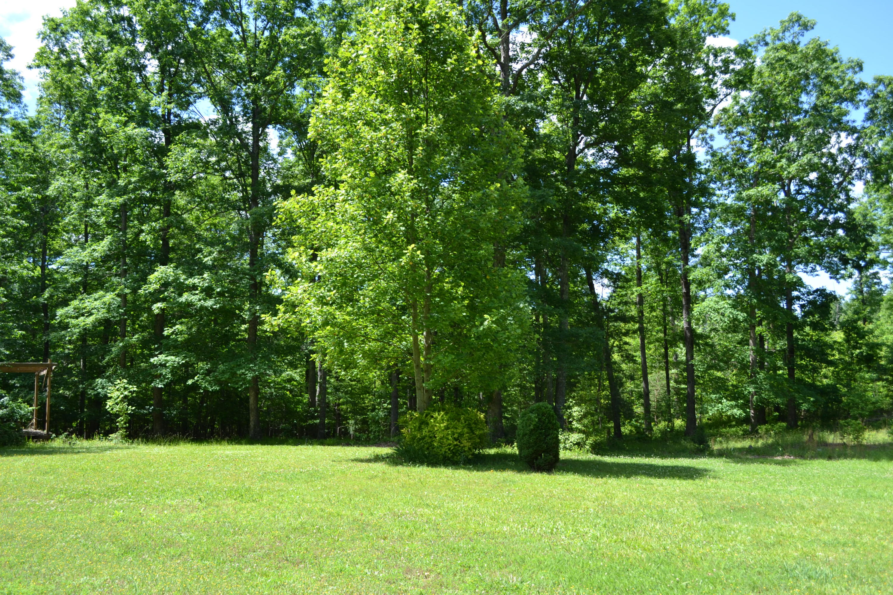 373 Casteel Road Sparta, TN 38583 - Photo 8 of 39 DSC_0933