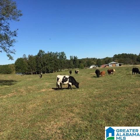 1785 Nunnally Lake Road Ohatchee, AL 36271 - Photo 22 of 50