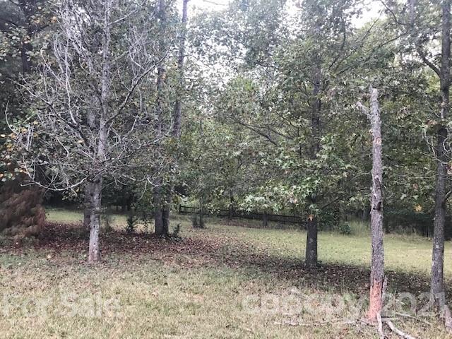 352 Pamela Road York, SC 29745 - Photo 17 of 21 a view of a forest