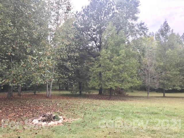 352 Pamela Road York, SC 29745 - Photo 18 of 21 a backyard of a house with lots of green space