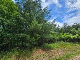 Lot 11-12 French Friendship, WI 53934 - Photo 2 of 8