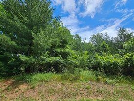 Lot 11-12 French Friendship, WI 53934 - Photo 5 of 8