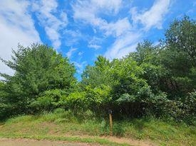 Lot 11-12 French Friendship, WI 53934 - Photo 7 of 8