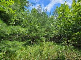 Lot 11-12 French Friendship, WI 53934 - Photo 8 of 8