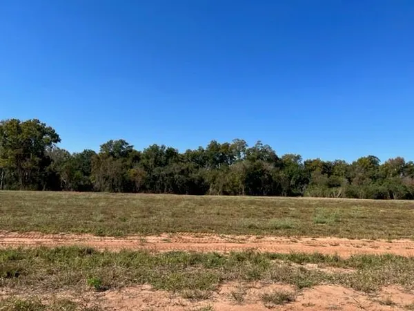 $94,500 | 3017 Bayou Fields Drive, Alexandria, LA 71303