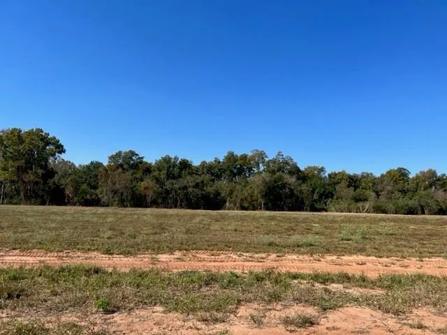 $94,500 | 3017 Bayou Fields Drive, Alexandria, LA 71303