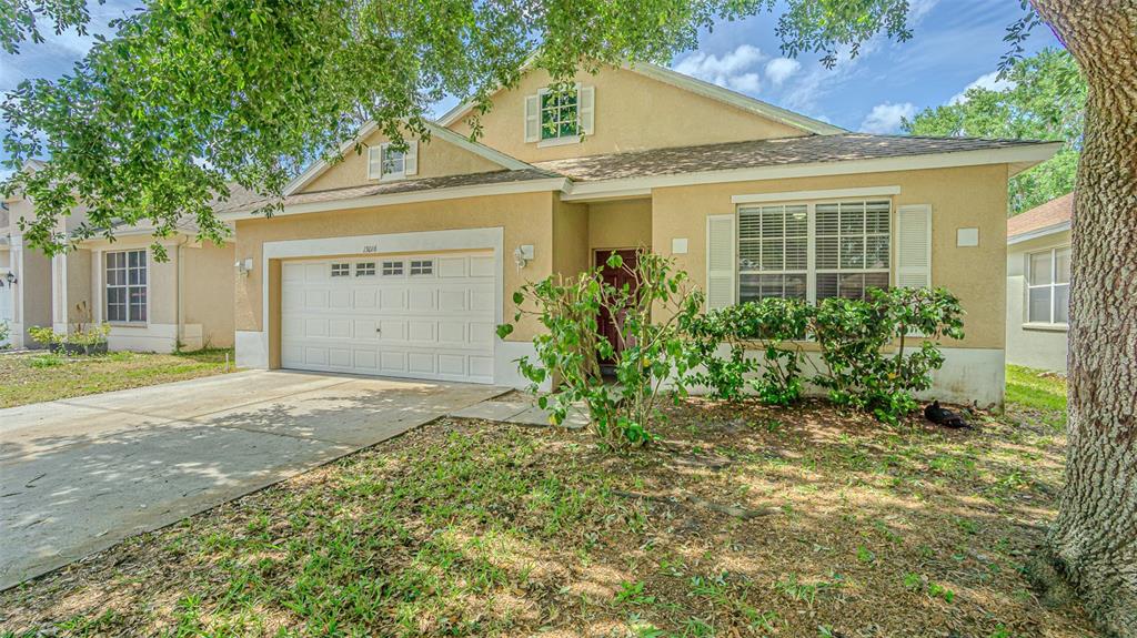 13016 Terrace Brook Place Temple Terrace, FL 33637 - Photo 23 of 27 a view of a house with a garden