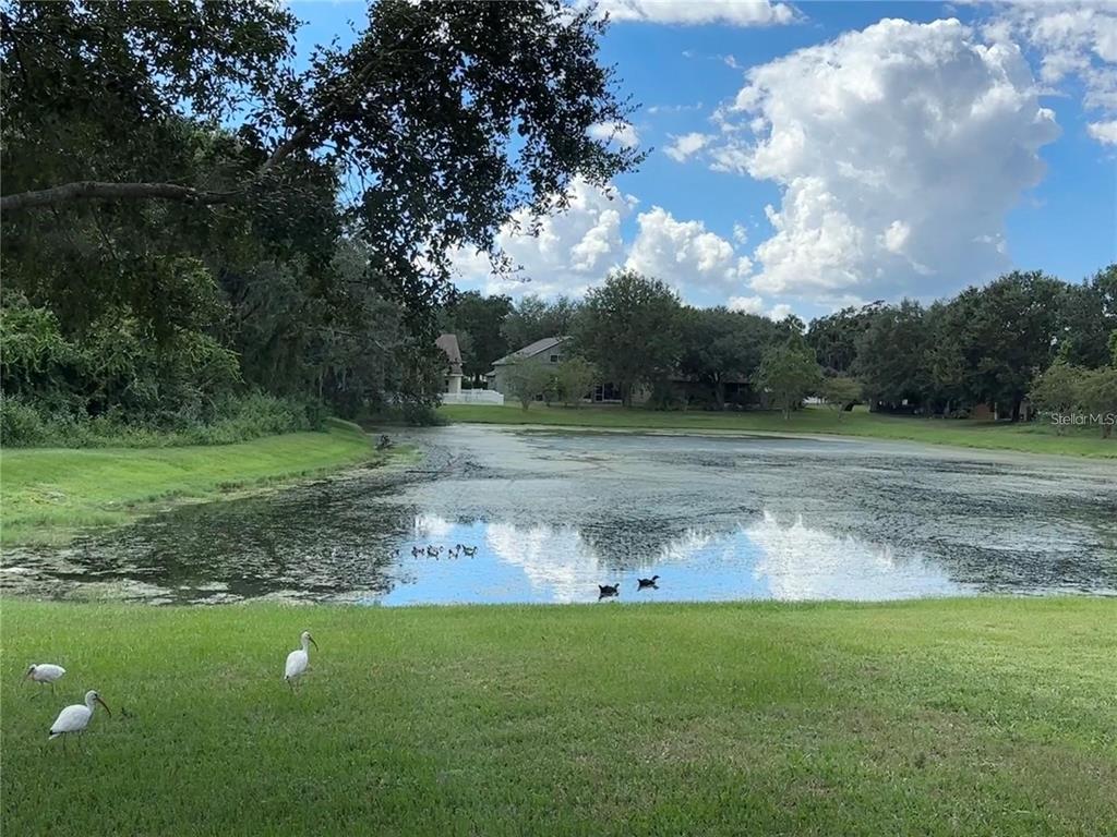 13016 Terrace Brook Place Temple Terrace, FL 33637 - Photo 24 of 27 a view of a field