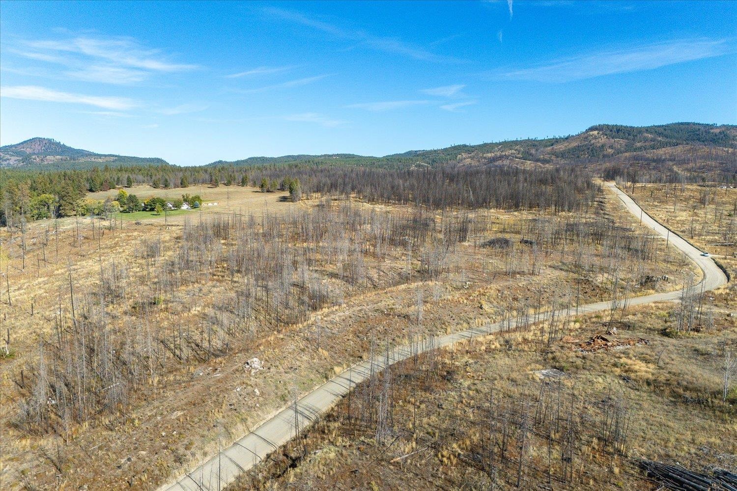 Xxx East Frideger Road Elk, WA 99009 - Photo 6 of 10