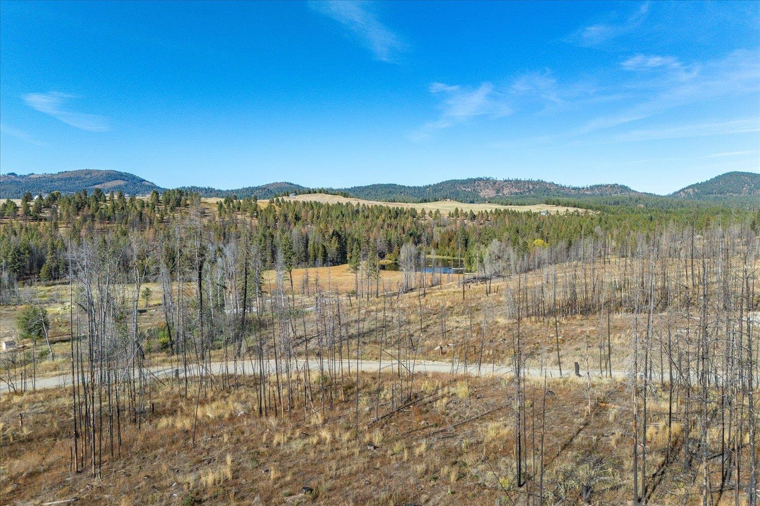 Xxx East Frideger Road Elk, WA 99009 - Photo 8 of 10