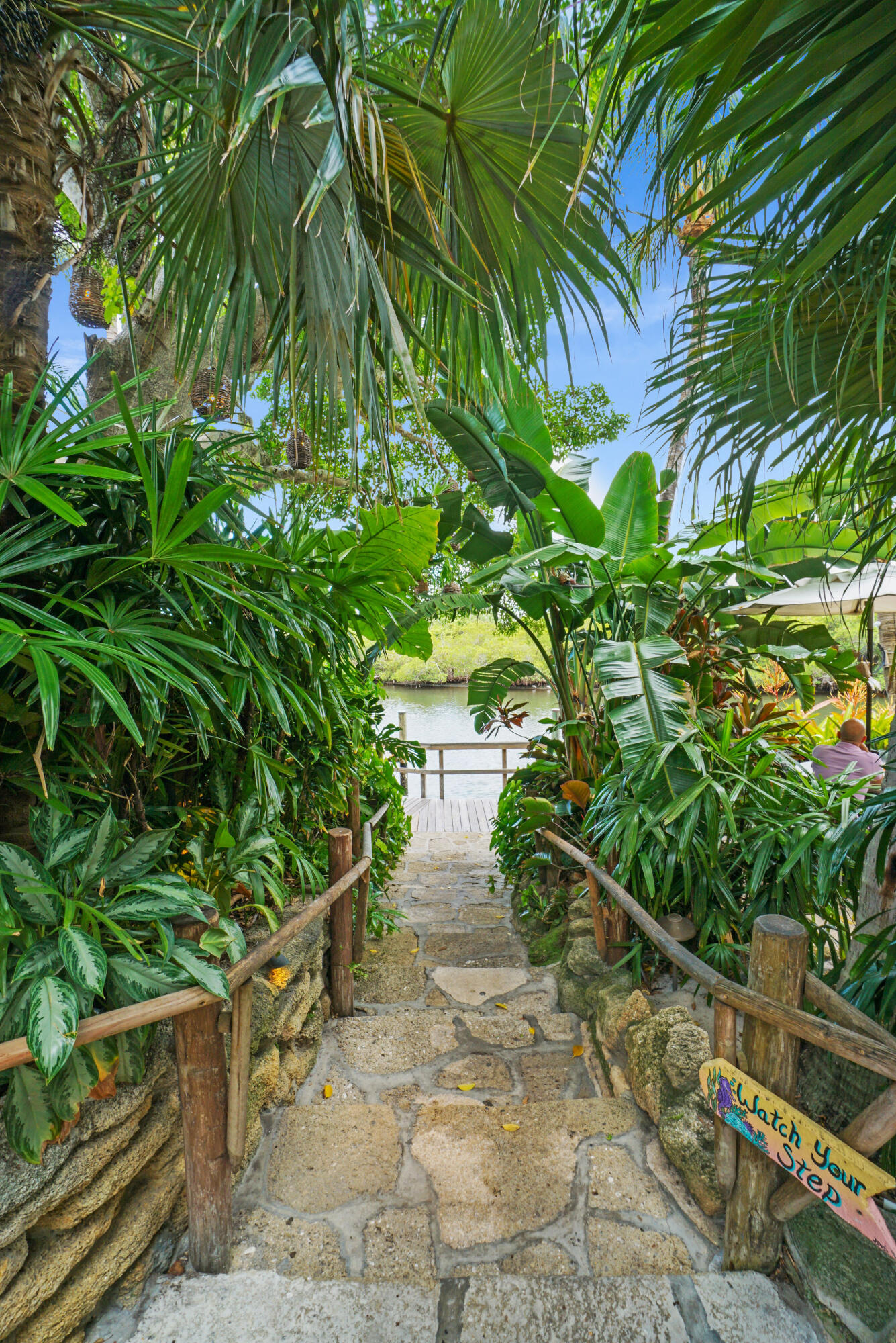 6293 Michael Street Jupiter, FL 33458 - Photo 62 of 64 a view of a pathway with plants and large trees