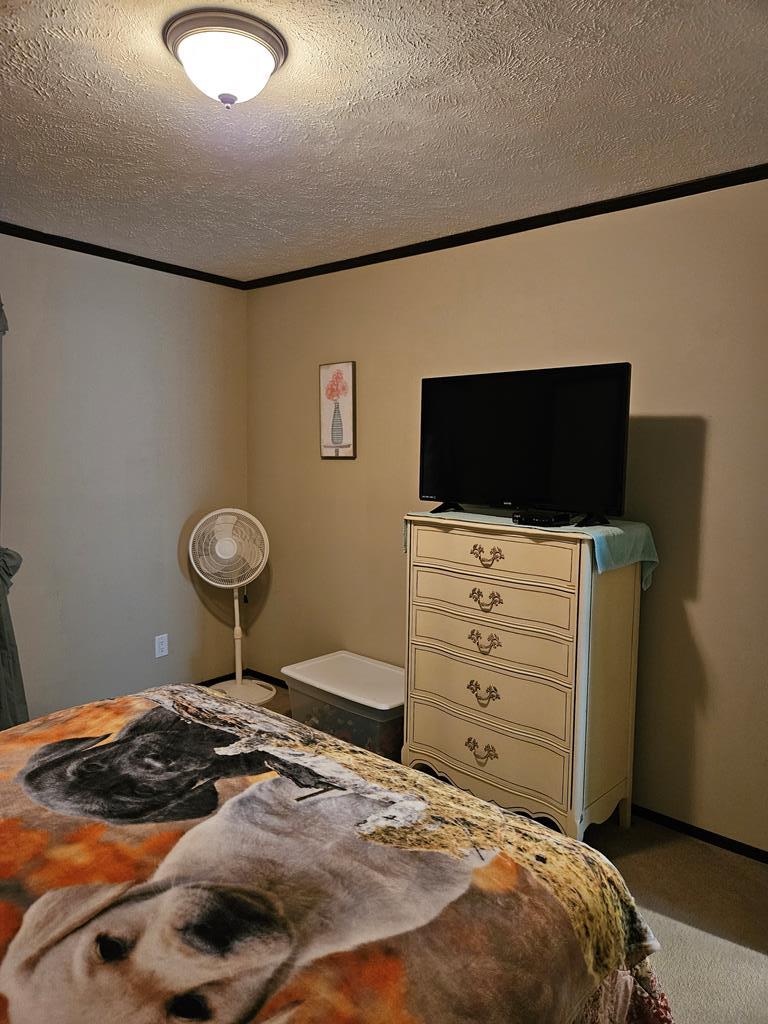 1111 Rodgers Chapel Road Clover, VA 24534 - Photo 16 of 36 Gallery Image 16
