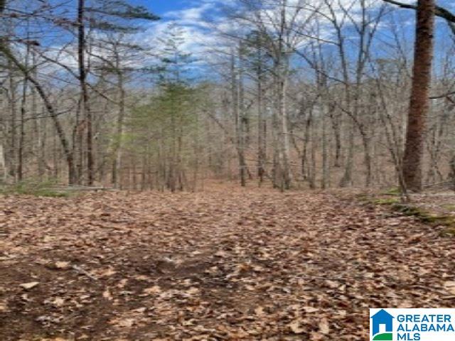 5565 Country Road, Unit 1 Pinson, AL 35126 - Photo 1 of 5