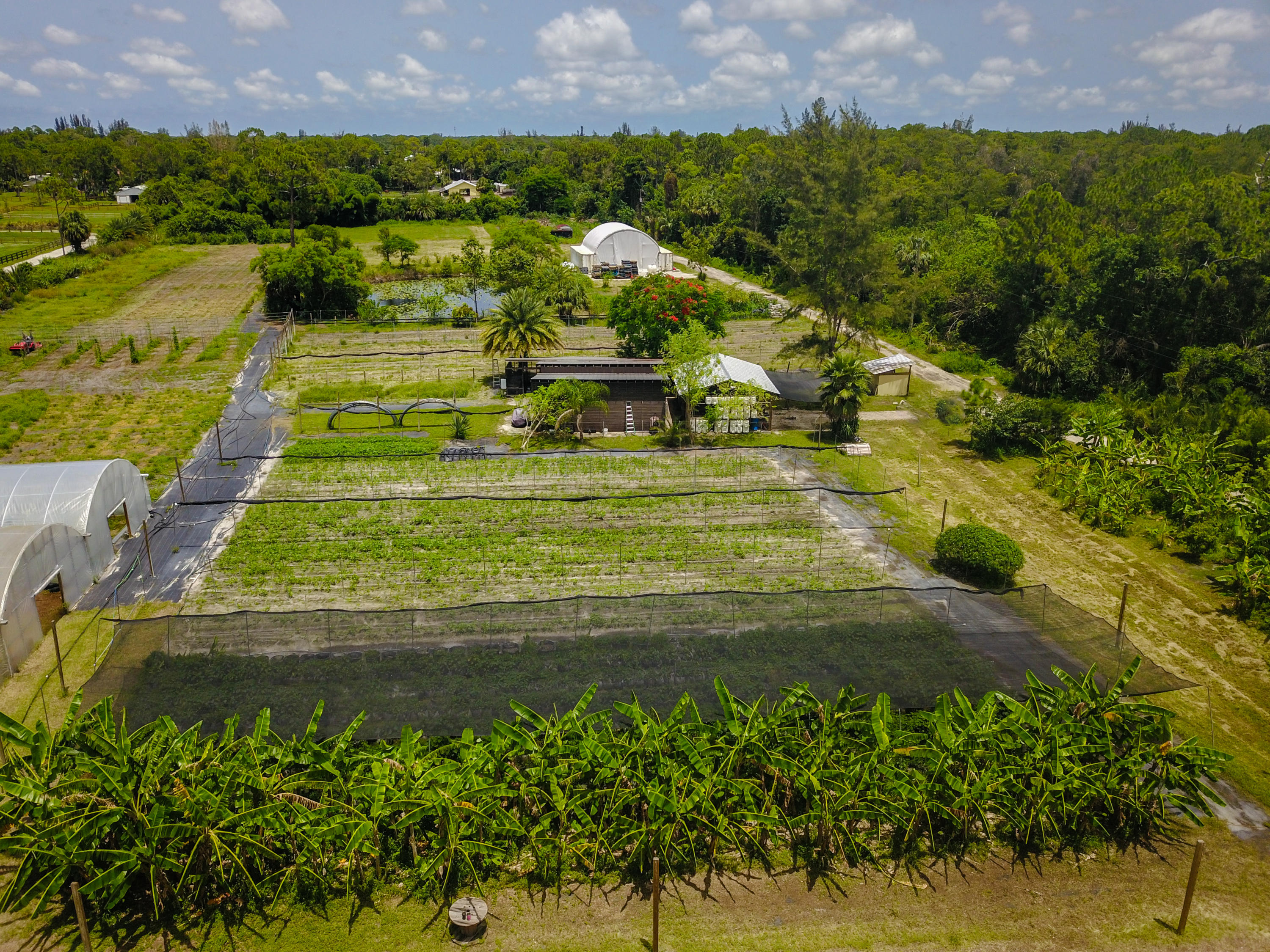 1442 E Road Loxahatchee Groves, FL 33470 - Photo 23 of 23 DJI_0082-Edit
