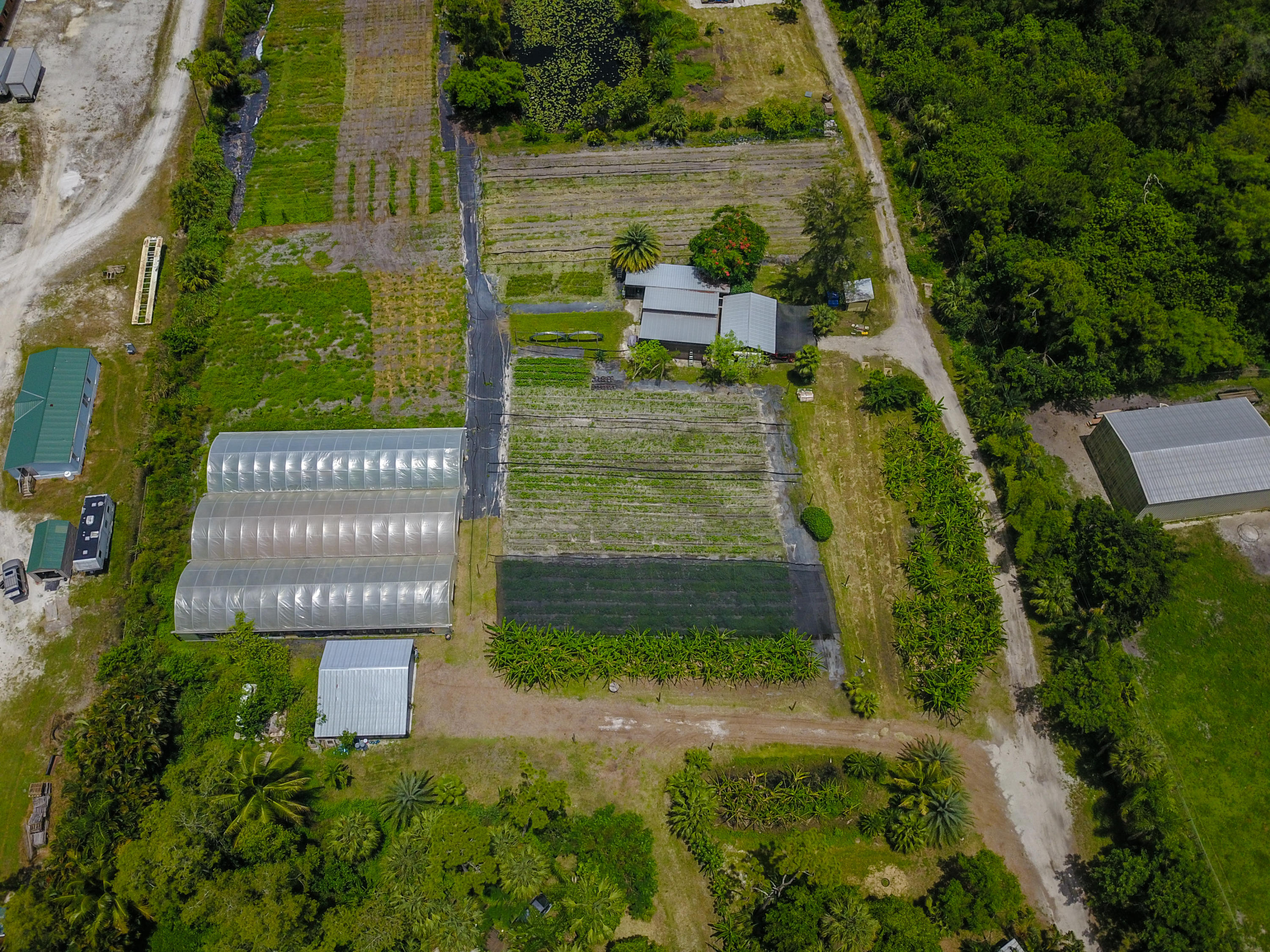 1442 E Road Loxahatchee Groves, FL 33470 - Photo 5 of 23 DJI_0067-Edit