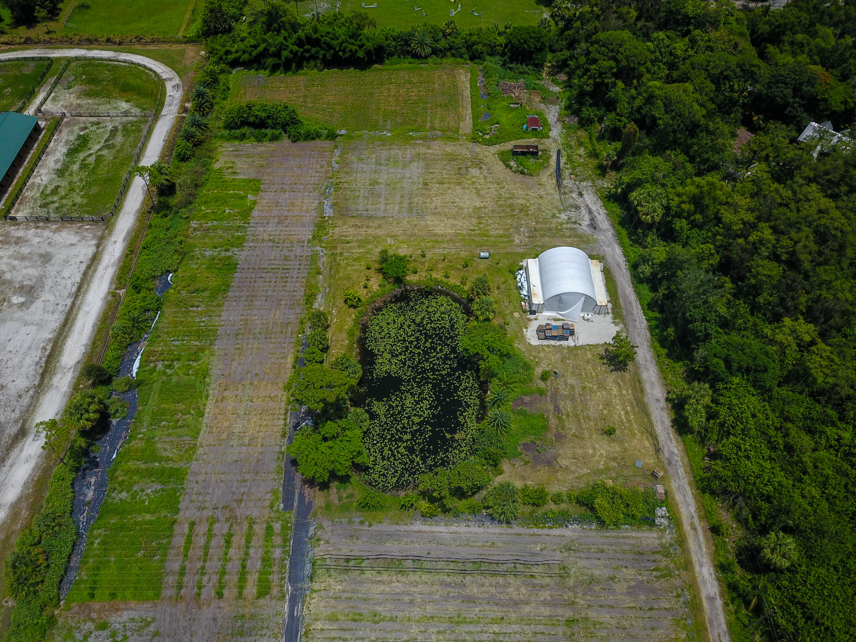 1442 E Road Loxahatchee Groves, FL 33470 - Photo 6 of 23 DJI_0068