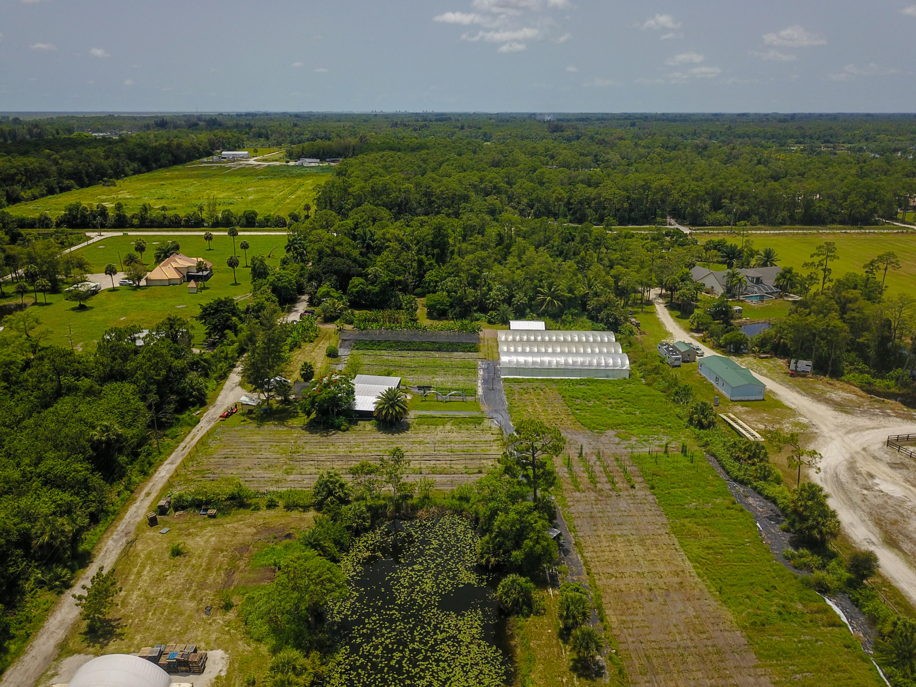 1442 E Road Loxahatchee Groves, FL 33470 - Photo 7 of 23 DJI_0070