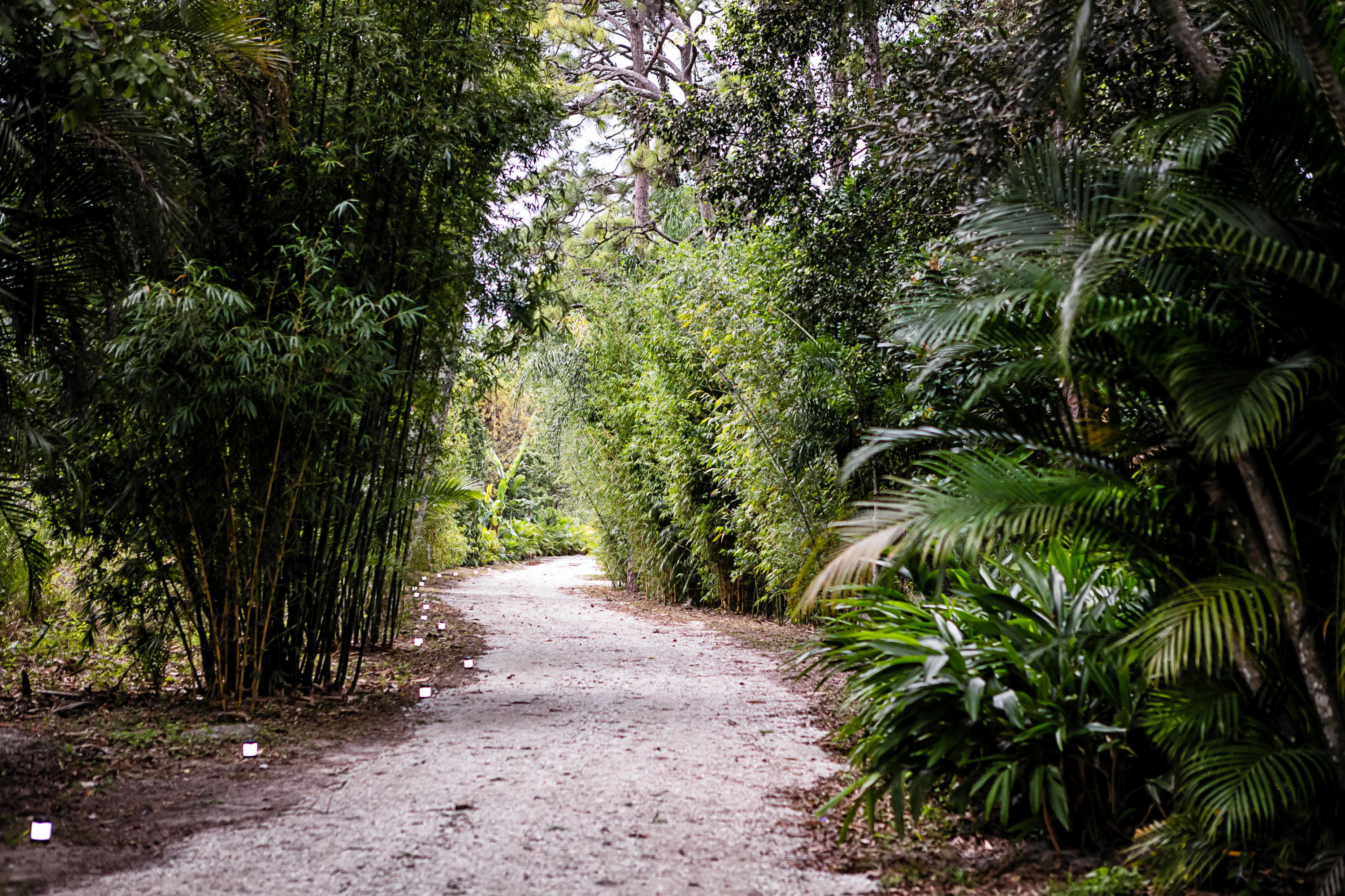 1442 E Road Loxahatchee Groves, FL 33470 - Photo 10 of 23 driveway