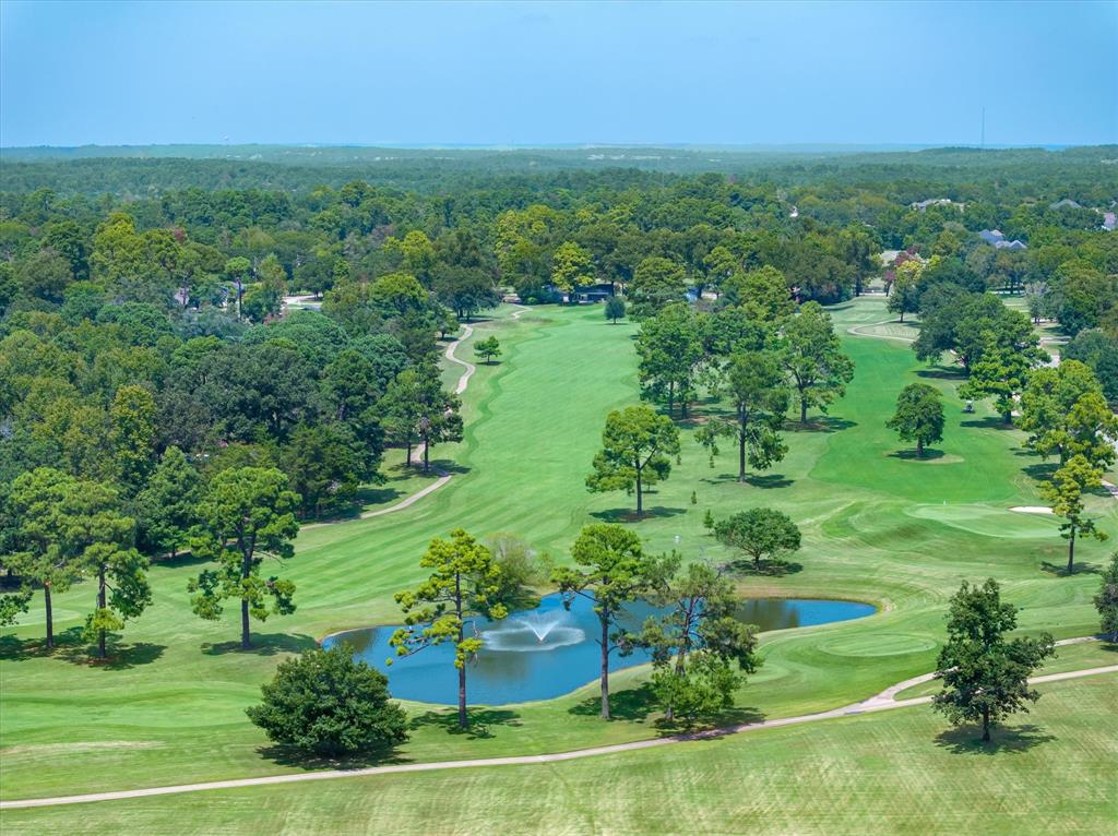 323 Rustic Road Hideaway, TX 75771 - Photo 31 of 40 a view of a green field with lots of trees