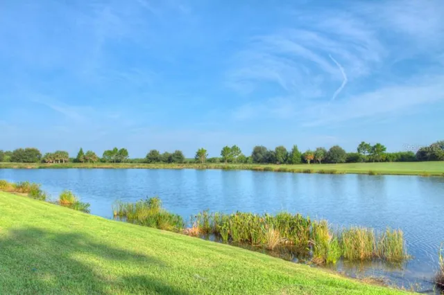 a view of a lake with houses in the background