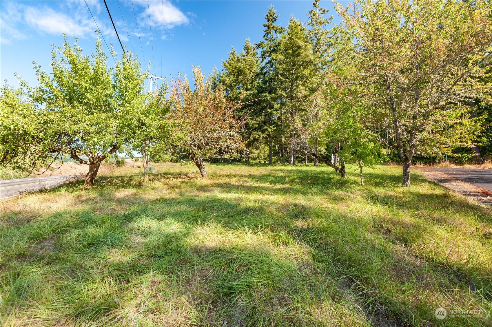 0 Kid Valley Road Toutle, WA 98649 - Photo 3 of 12 Gallery Image 3