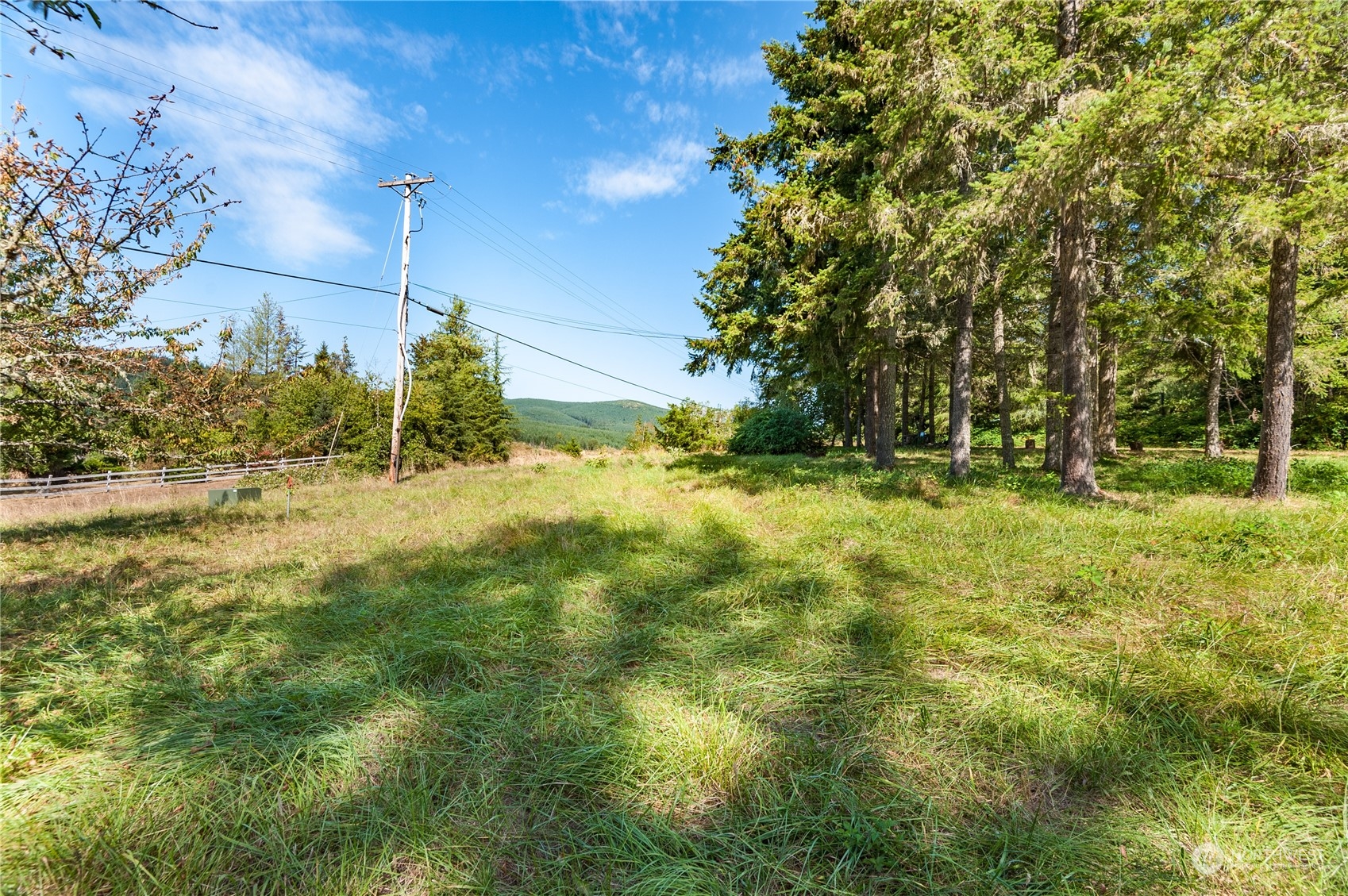 0 Kid Valley Road Toutle, WA 98649 - Photo 5 of 12 Gallery Image 5