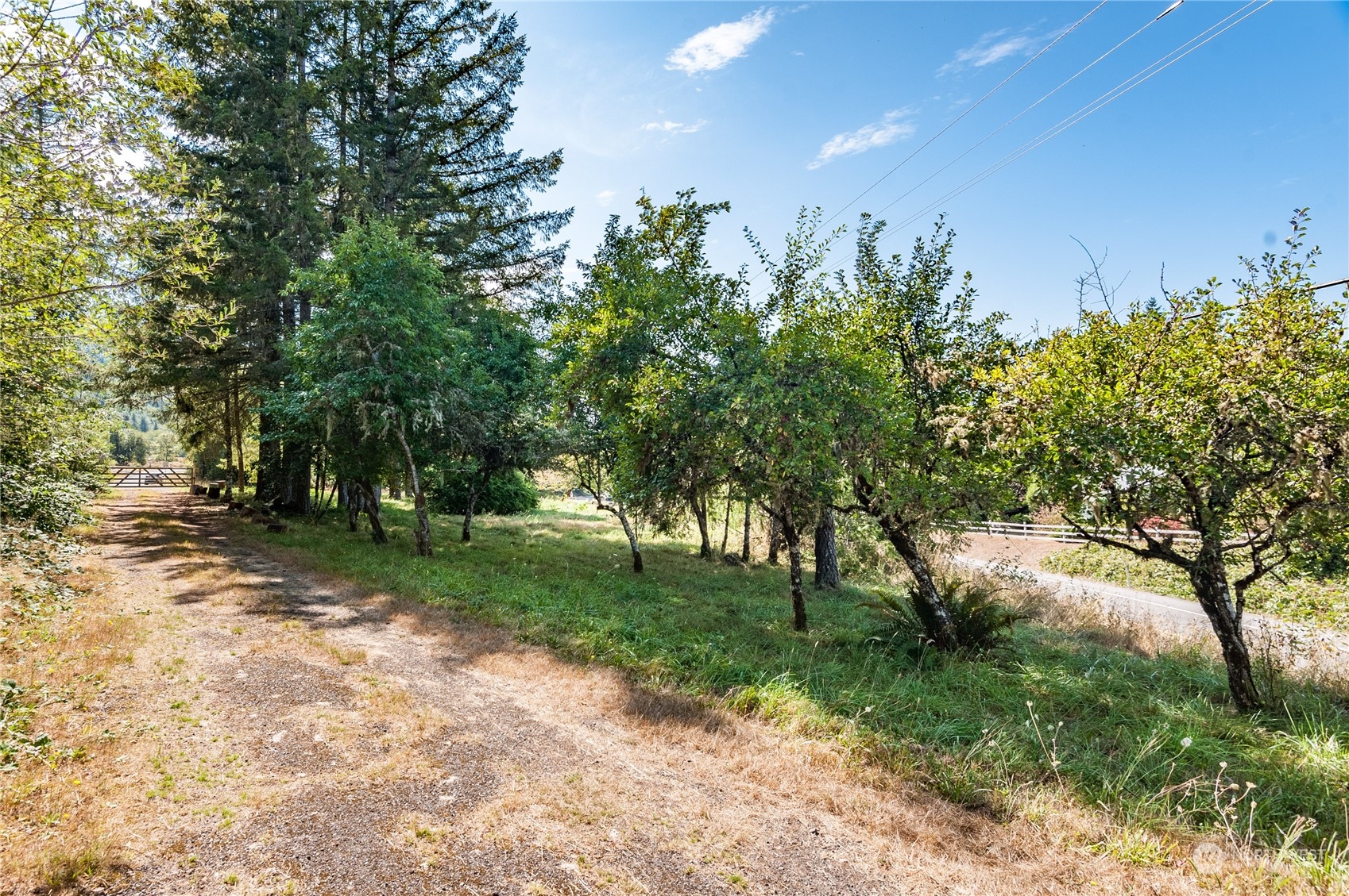 0 Kid Valley Road Toutle, WA 98649 - Photo 6 of 12 Gallery Image 6
