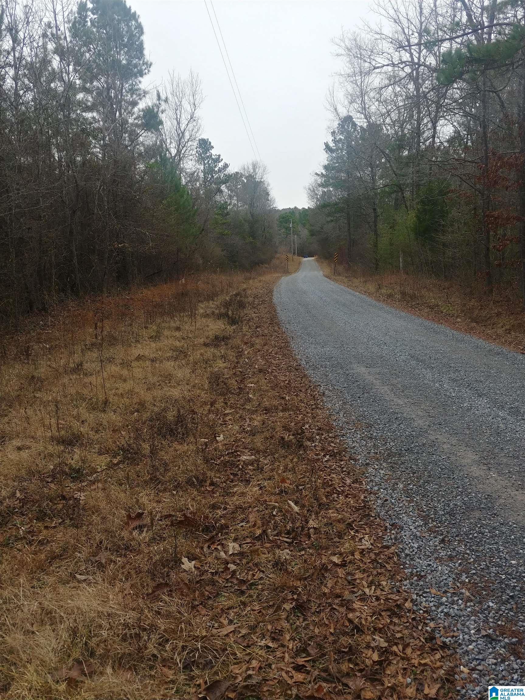 2231 Camp Brownie Road, Unit 1 Sylacauga, AL 35151 - Photo 6 of 6