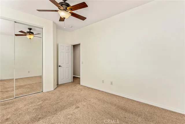 a view of a garden with a bench in the patio