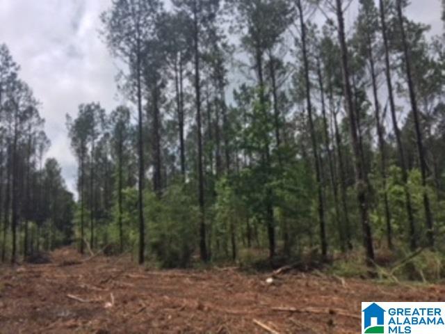 325 Springhill Road, Unit 1 Talladega, AL 35160 - Photo 14 of 31