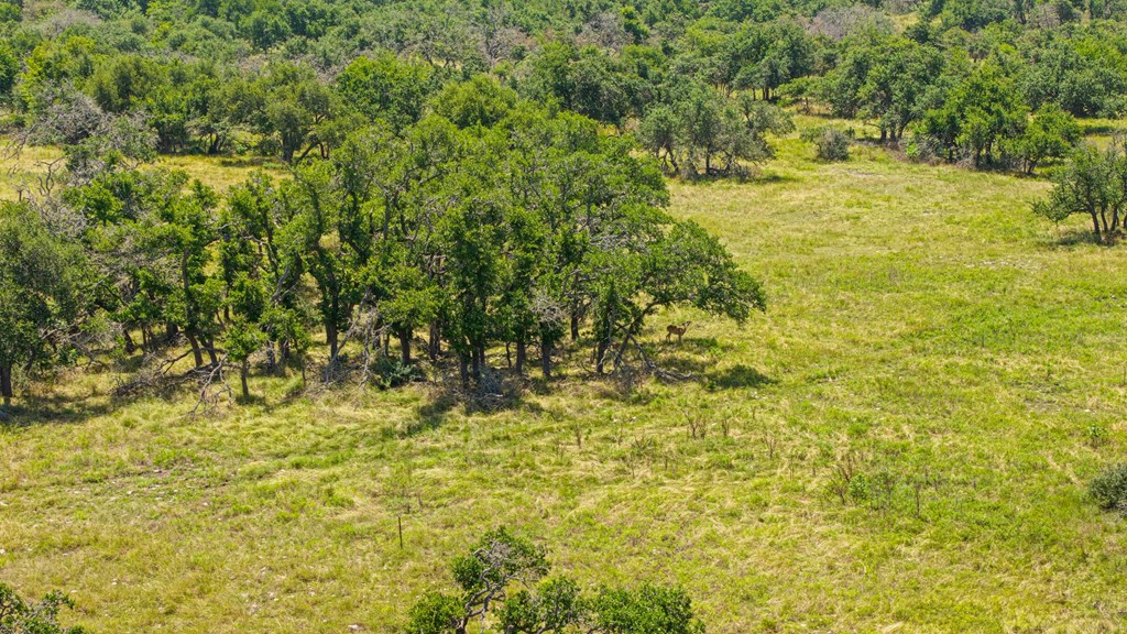 51 Reeh Road, Unit 51 Fredericksburg, TX 78624 - Photo 15 of 37 Gallery Image 15