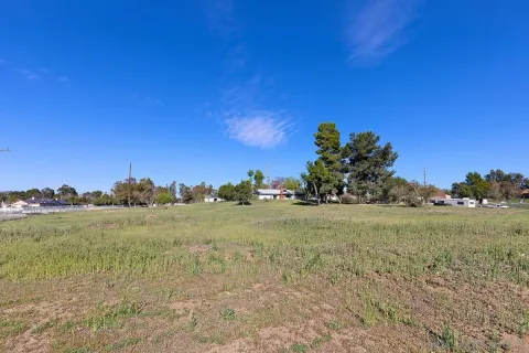 a view of a field with a tree in the background