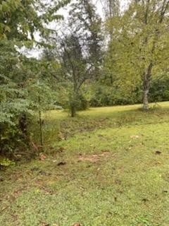 540 Munro Road Pulaski, TN 38478 - Photo 2 of 5 Gallery Image 2