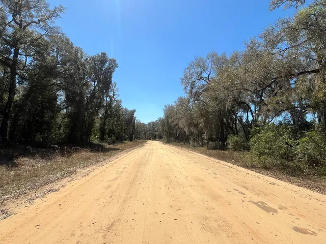 $13,800 | Tbd Walker Drive, Interlachen, FL 32148